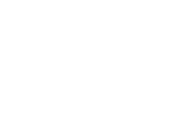 intelligence-collective
